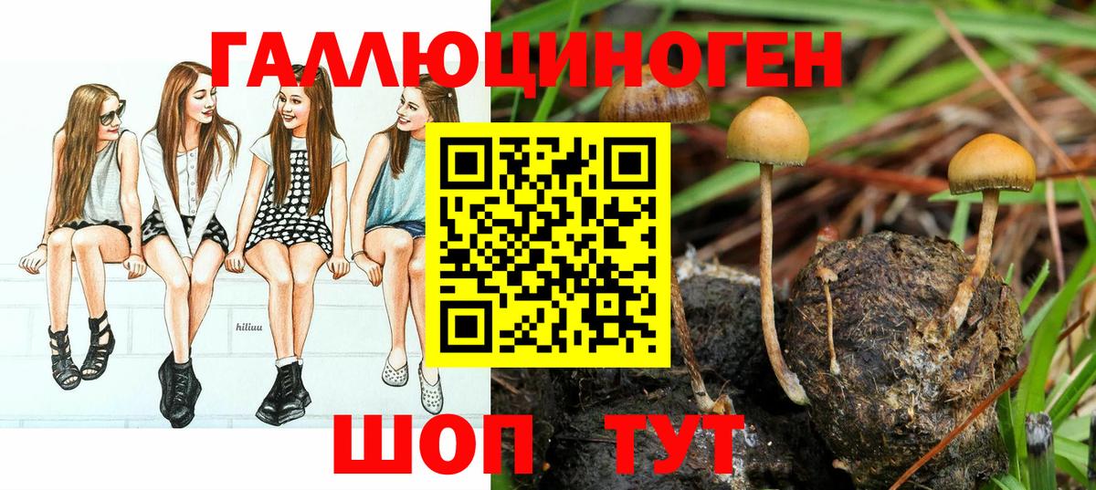Галлюциногенные грибы GOLDEN TEACHER  Галлюциногенные грибы мицелий  Вход с VPN  Кашира 