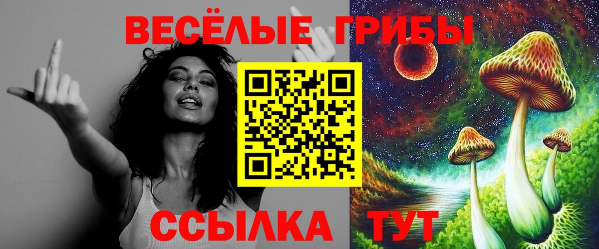 Псилоцибиновые грибы прущие грибы Кашира
